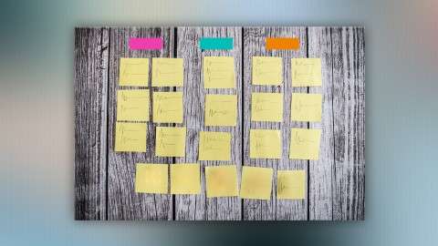 Developing an Information Architecture with Card Sorting